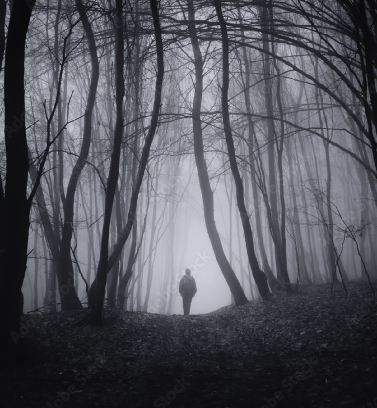 A figure walking toward light through forest